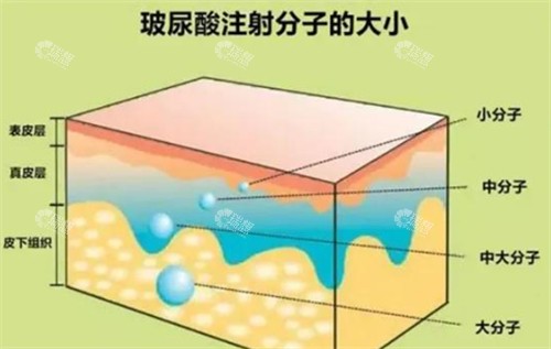 玻尿酸分子示例图